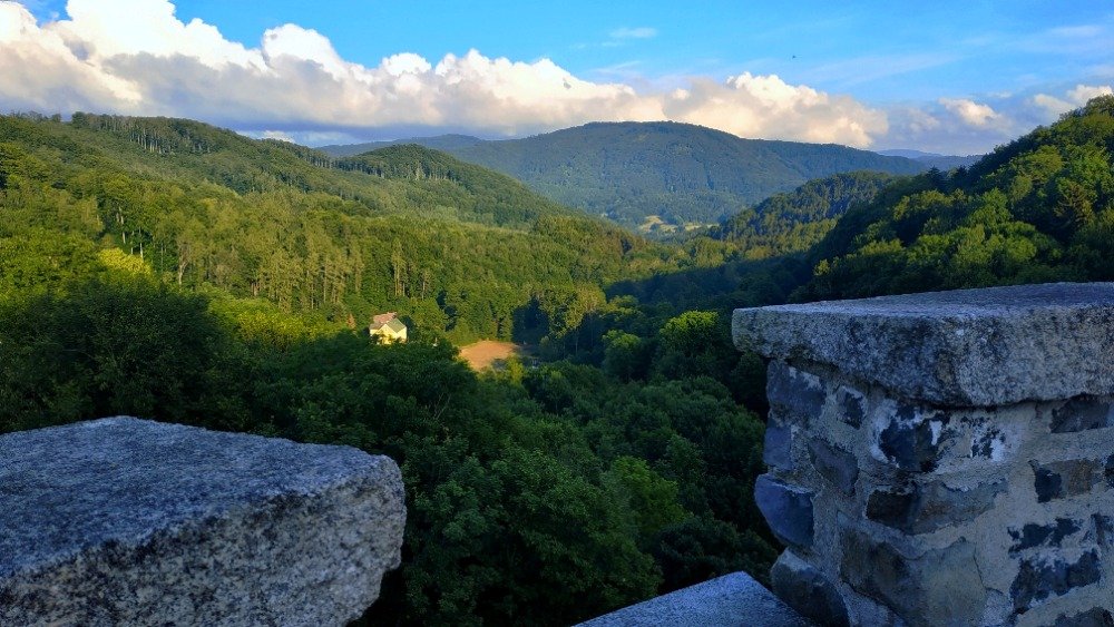 Výhled z hradeb Hauenštejna do zalesněného údolí Krušných hor